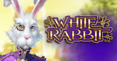 White Rabbit at Cocoa Casino
